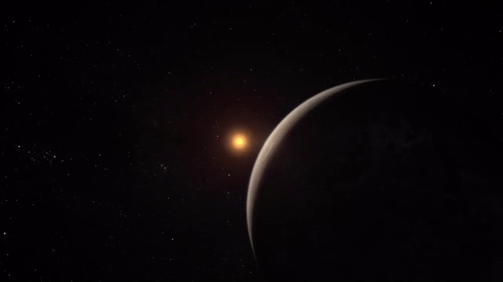 cygnus
